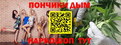 гашик Бийск