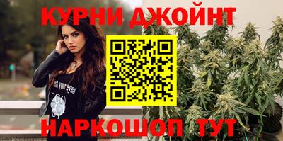 гашик Бийск