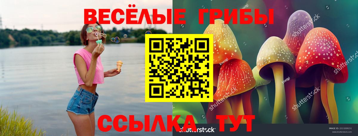 Кимовск  Псилоцибиновые грибы GOLDEN TEACHER  Вход с VPN 